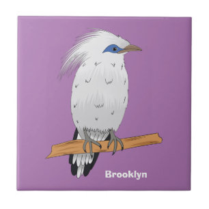 Bali Mina - ave exótica tropical