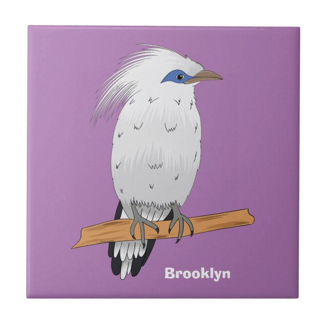 Bali Mina - ave exótica tropical (Frente)