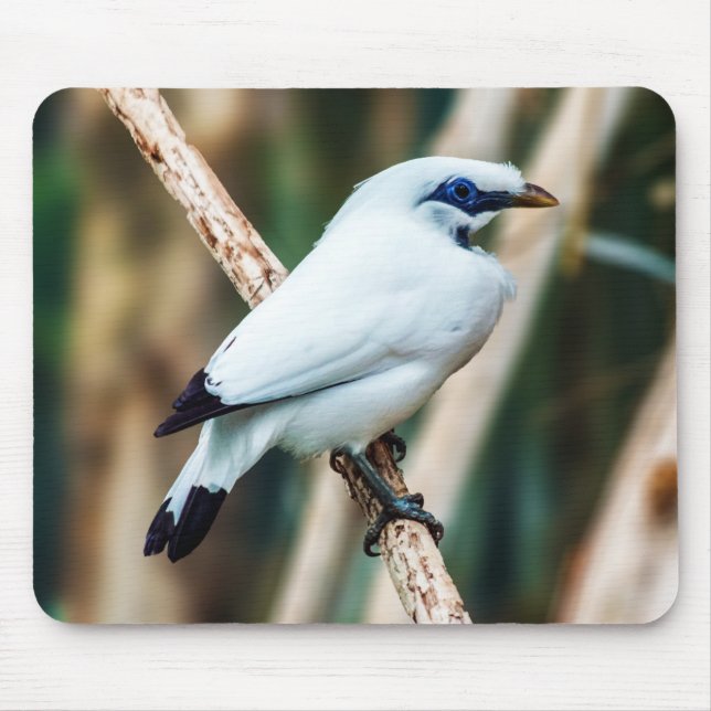 Bali Myna Bird Mousepad (Frente)