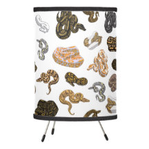 Ball Python Cobra Morph Pattern