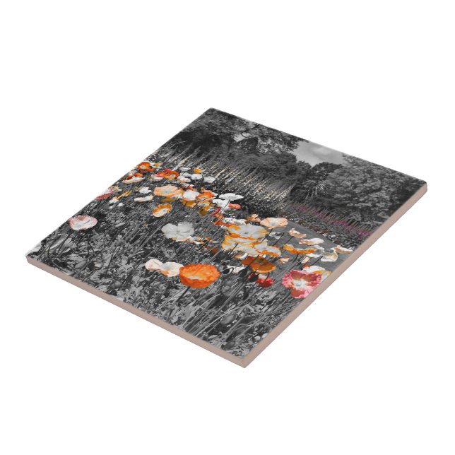 Ballarat Botanic Gardens Floral Display (Lateral)