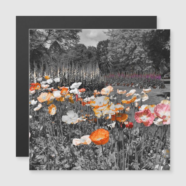 Ballarat Botanic Gardens Floral Magnet (Frente/Verso)