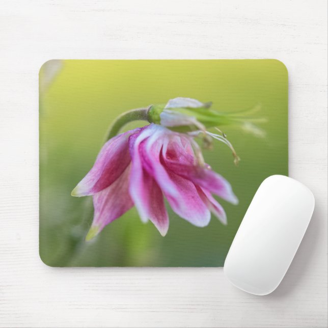Ballerina rosa - Columbina no Mousepad Movido (Com mouse)