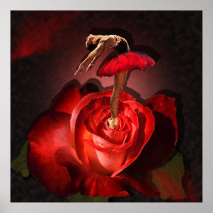 Ballerina Rosa - Poster