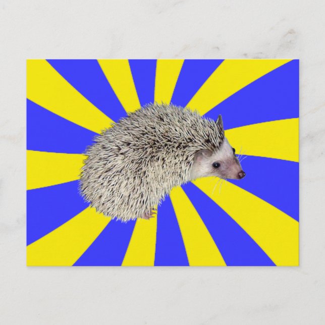 BAM! Cartão postal 2 Hedgehog (Frente)