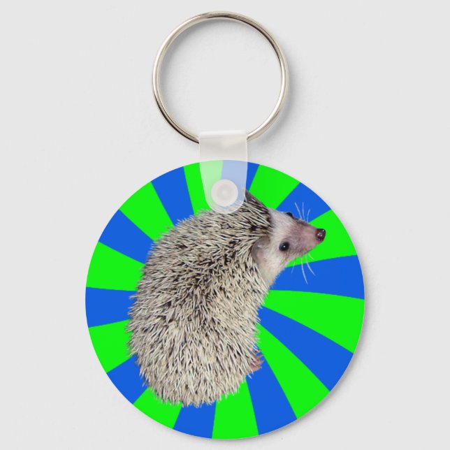 BAM! Hedgehog Chaveiro 2 (Frente)