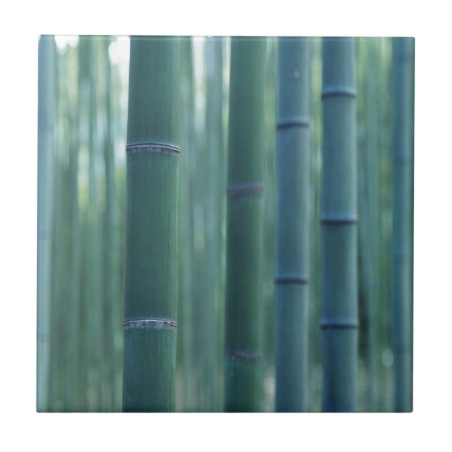 Bamboo Break (Frente)