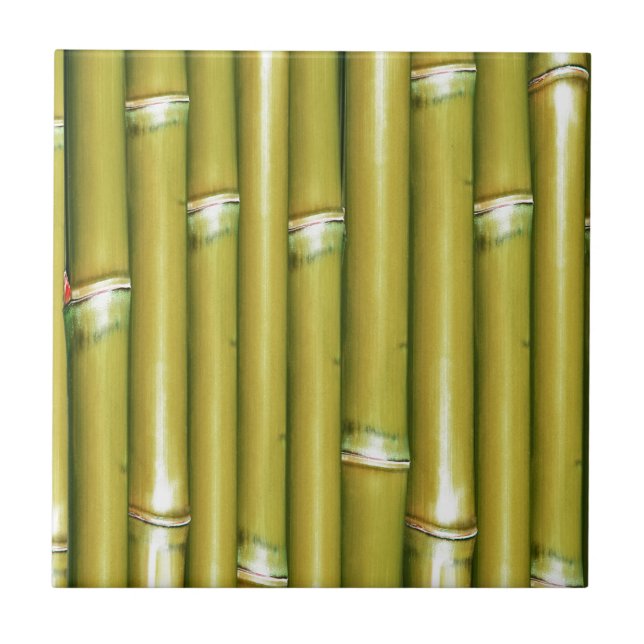 Bambu Amarelo (Frente)