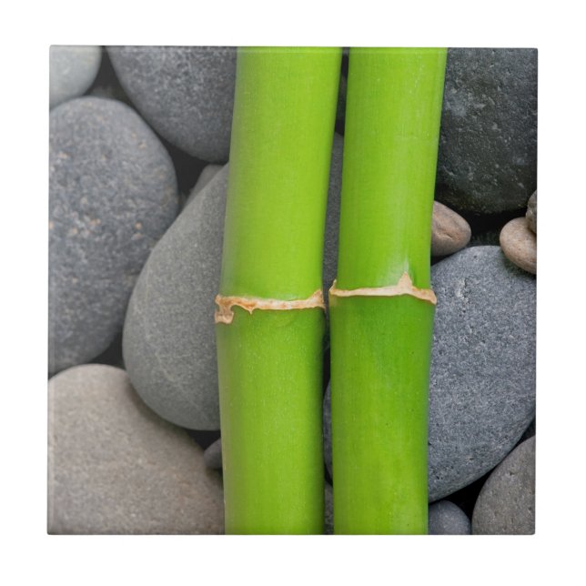 Bambu e seixo (Frente)