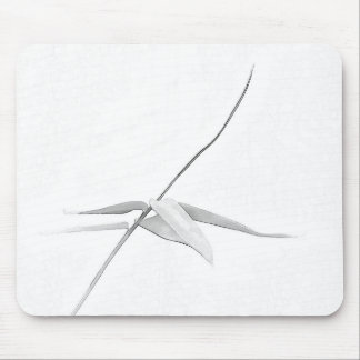Bambu - Mousepad