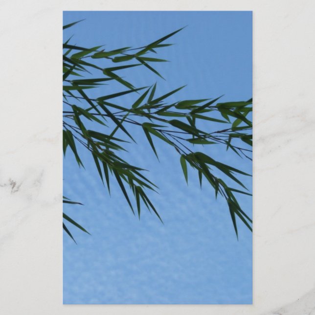 bambu sobre céu de nuvens (Frente)