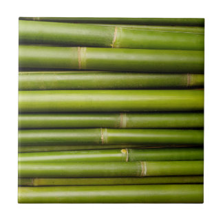 Bambu tropical verde