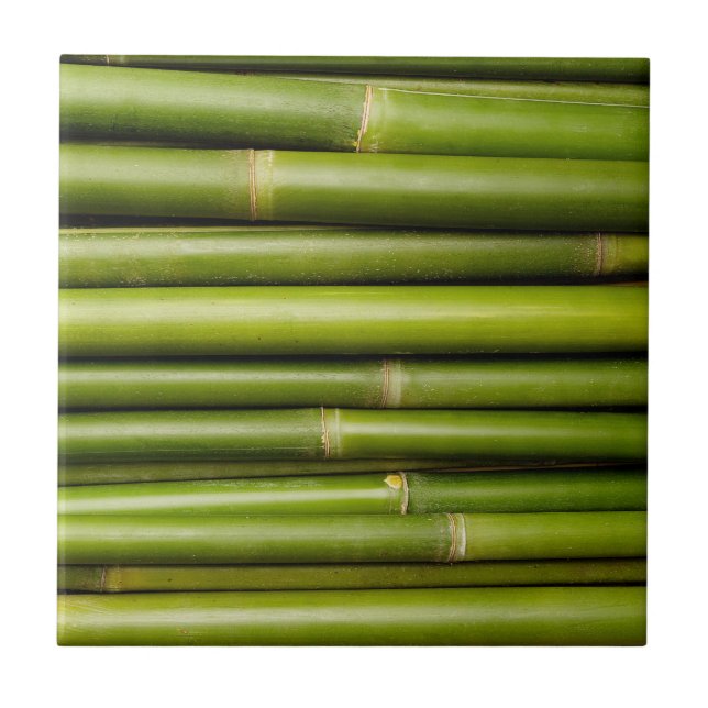Bambu tropical verde (Frente)