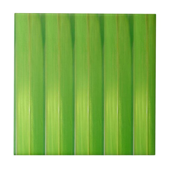 Bambu verde (Frente)