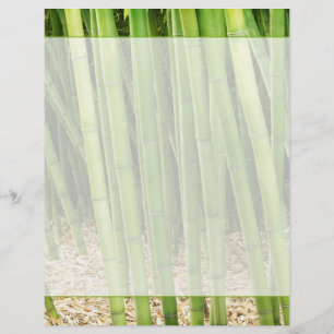 Bambu Verde