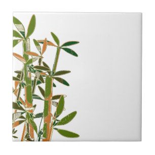 Bambu verde isolado no fundo branco