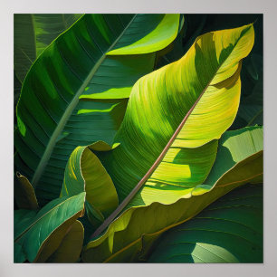 Banana deixa Impressão