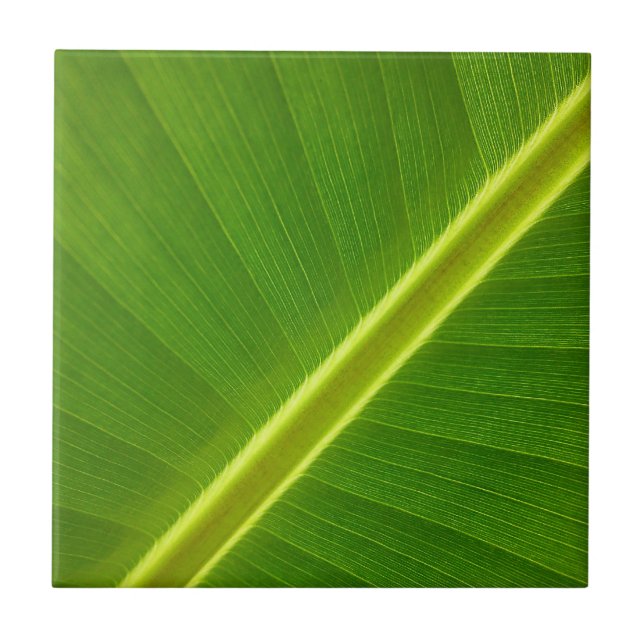 Banana Leaf (Frente)