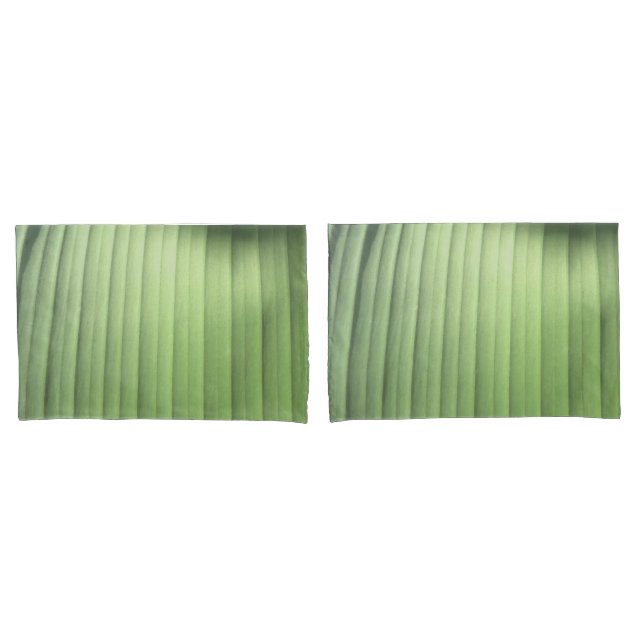Banana Leaf Closeup (Frente - conjunto)