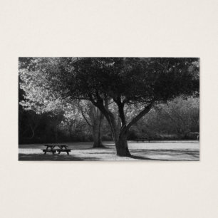 Banco de parque e foto da árvore
