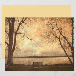 Banco de Parque Grunge Vintage Textura Rústica de 