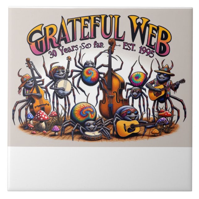 banda da web 30 anos (Frente)