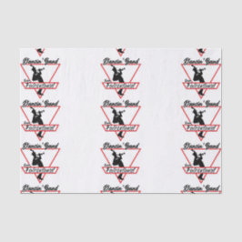 Banda De Papel Tecido Falconland