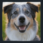 Bandana Adicionar Foto Pet Personalizar<br><div class="desc">Adicionar Foto Pet Personalizar, Adicionar Foto Pet, Adicionar Foto De Cão, Pet, Pets, Cão, Personalizar, Personalizar, Foto, Conteúdo Geral</div>