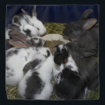 Bandana Baby Bunnies<br><div class="desc">Dois dos meus coelhos de resgate tinham bebês separados por dias. Aqui estão todos os bebês juntos,  uma vez que eles se livraram de seus Mamas.</div>