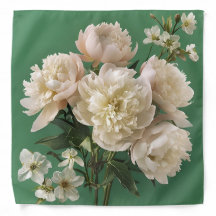 Beautiful White & Pink Peonies On Green Background