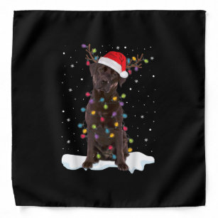 Bandana Cachorro   Chocolate Labrador — Natal