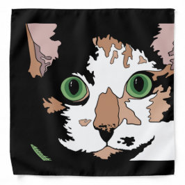 Bandana Calico Cat