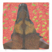 Cão e morango