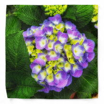 Hídricas brilhantes