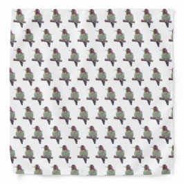 Bandana Hummingbird de Anna