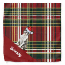 Natal personalizado de Boston Terrier Dog da Xadre