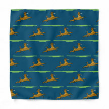 Poodle Brown com Frisbee
