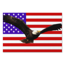 Bandeira americana com águia-EUA
