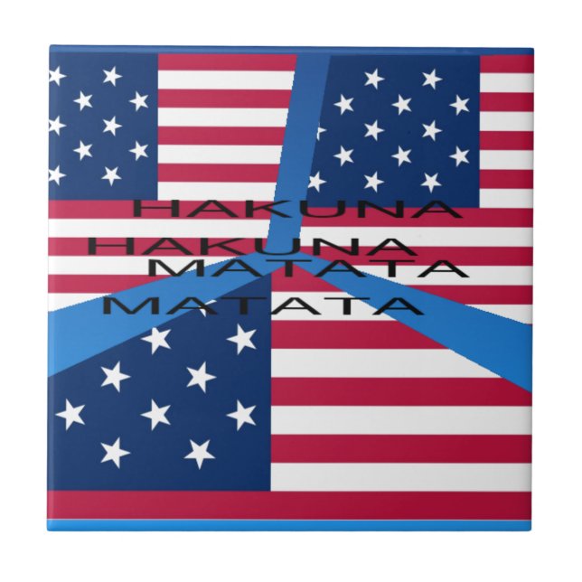 Bandeira Americana com Hakuna Matata: Design Patri (Frente)