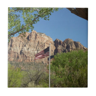 Bandeira Americana no Parque Nacional Zion II