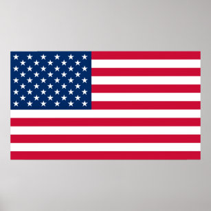 Pôsteres e Impressões Bandeira Dos Estados Unidos