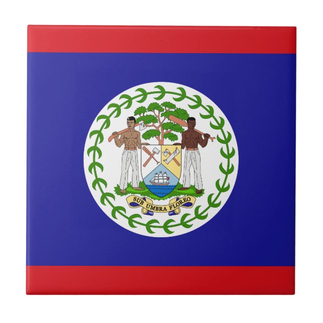 Bandeira Belizenha (Frente)