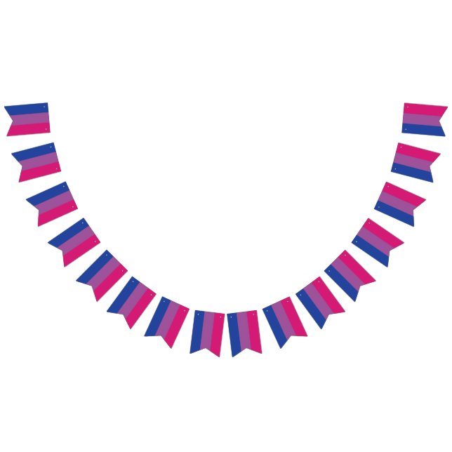 Bandeira Bi Bunting (Todos)