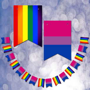 Bandeira Bissexual e Arco-Íris, Orgulho/bandeira 