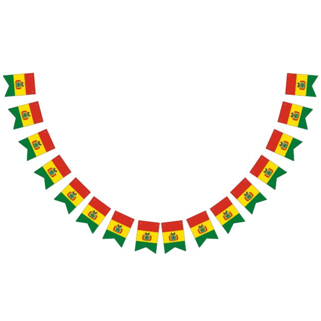 Bandeira boliviana (Todos)