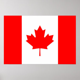 Bandeira canadense do poster vermelho da folha de