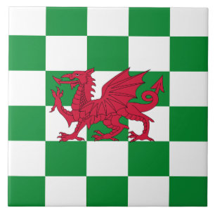 Bandeira Celta do Dragão Vermelho Místico do País