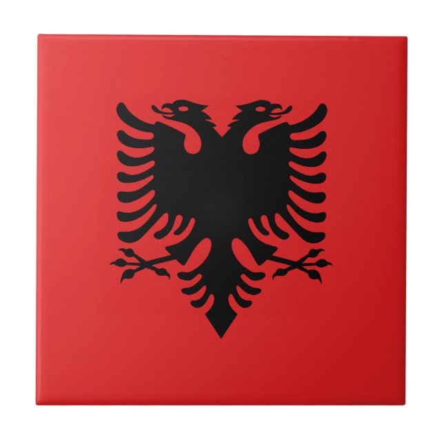 Bandeira da Albânia (Frente)