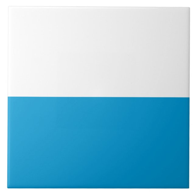Bandeira da Baviera (Estado alemão) (Frente)