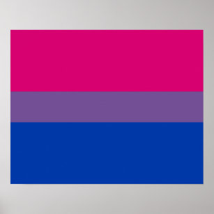 Bandeira da Bissexualidade Poster